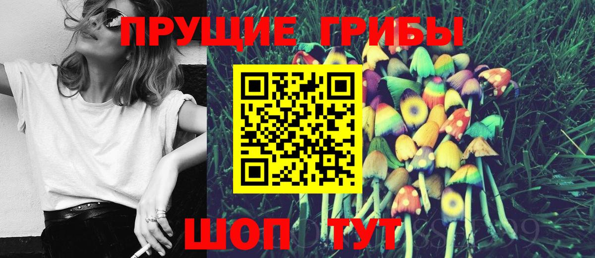 Псилоцибиновые грибы Psilocybine cubensis Спасск-Дальний